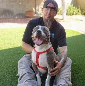 Meet your Posher, Billy